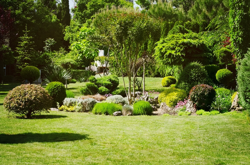 綺麗な庭